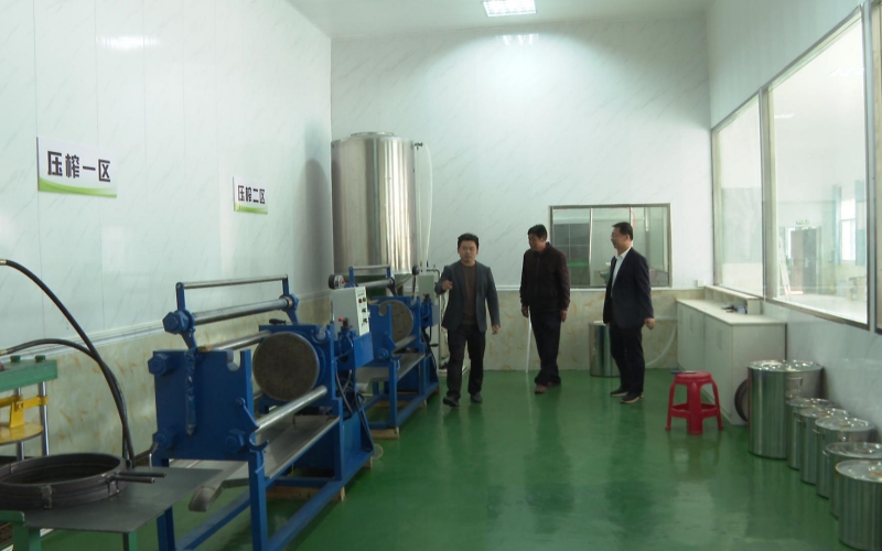 油茶压榨车间。