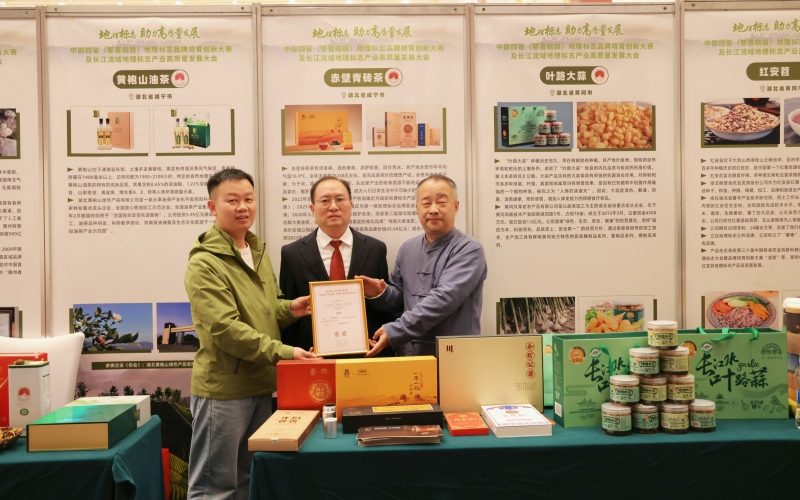中部四省地理标志品牌培育创新大赛“赤壁青砖茶”获金奖。田红云摄