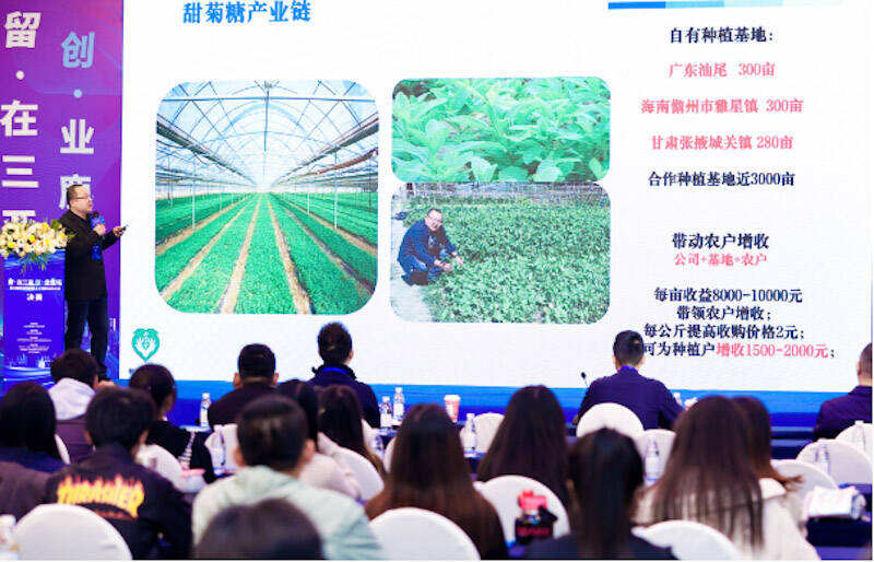 活动现场。主办方供图