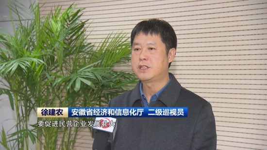 安徽省经济和信息化厅 二级巡视员 徐建农