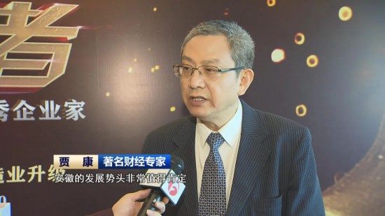 著名财经专家 贾康