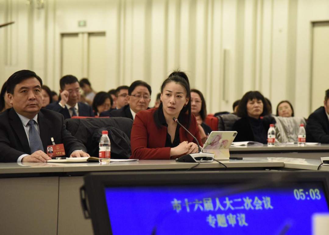 金晶在专题审议中呼吁关注残疾人就业问题。顾海民摄