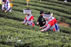 [field:title/]