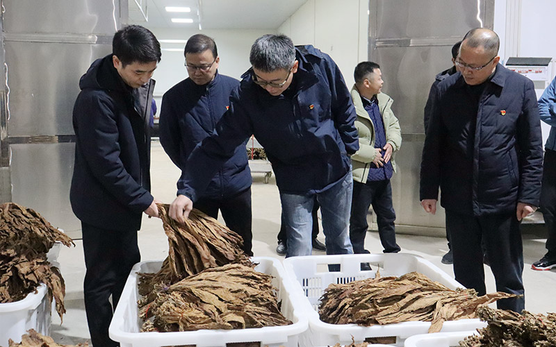 了解农业环节发酵及分选