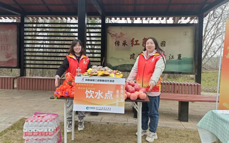 江夏区局团支部开展学雷锋志愿服务活动。