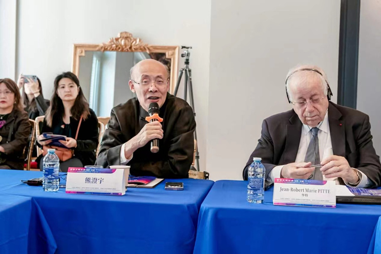 中国传媒大学文化发展与传播研究院院长熊澄宇教授发言（图片：中国传媒大学