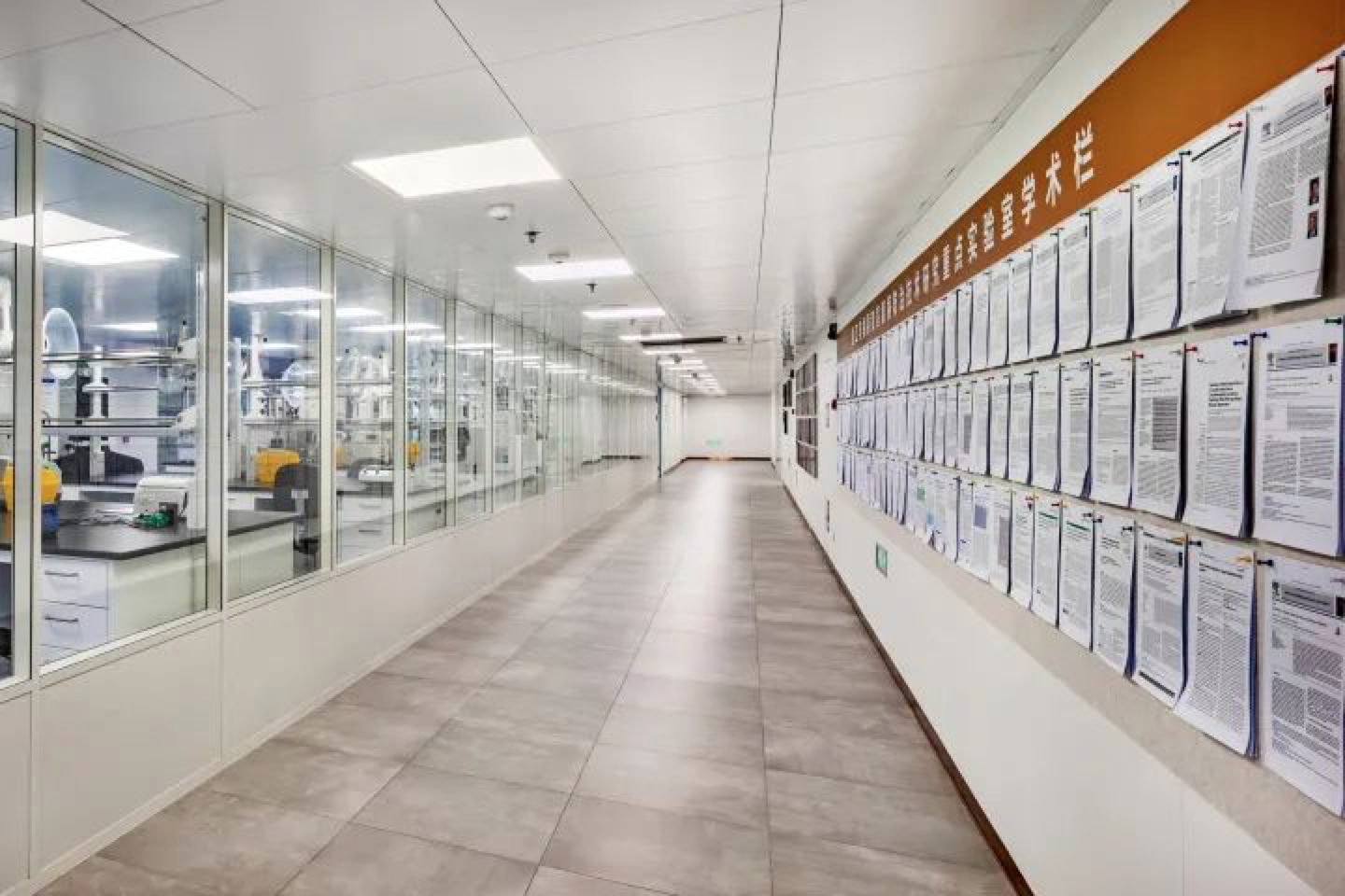 浙大二院眼科实验室。浙江大学供图