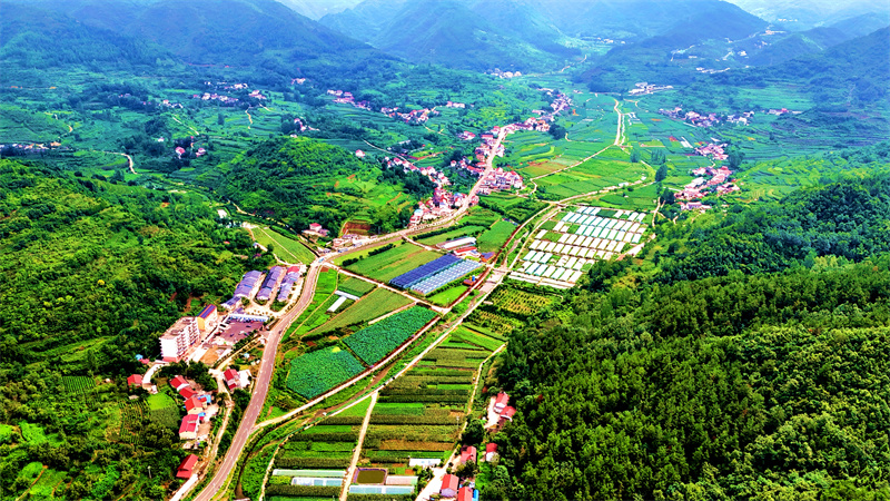 郧阳区谭家湾镇五道岭村（王涛摄 )