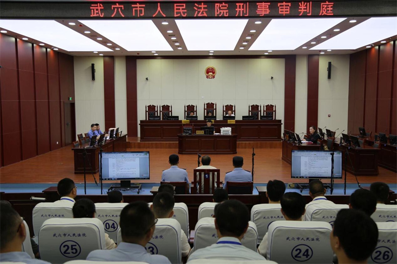 武穴市人民医院工作人员邓某某庭审现场