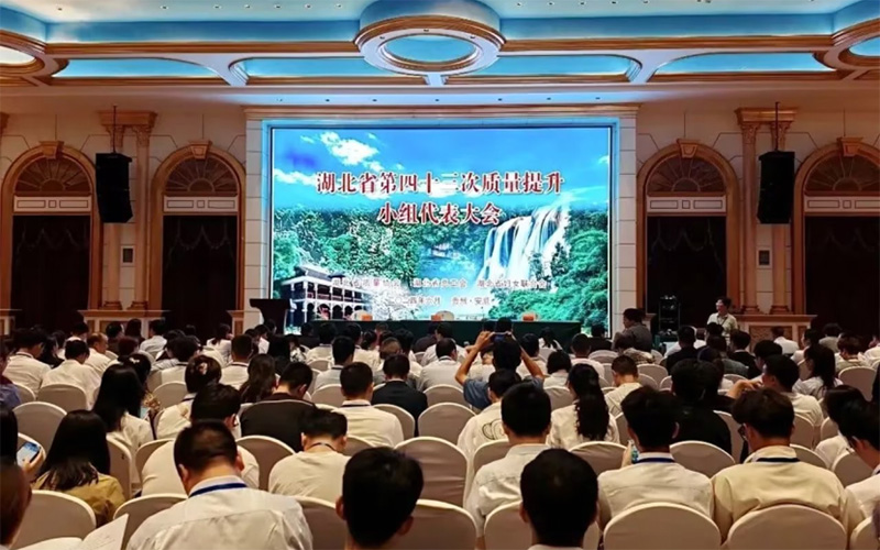 湖北省第43次质量提升小组代表大会现场