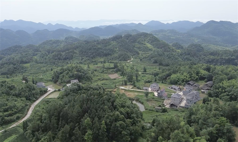 恩施卷烟厂乡村振兴帮扶点宣恩县龙潭河村完善产业路。