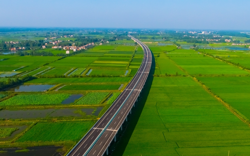 高速公路周边经提质改造后的稻田。