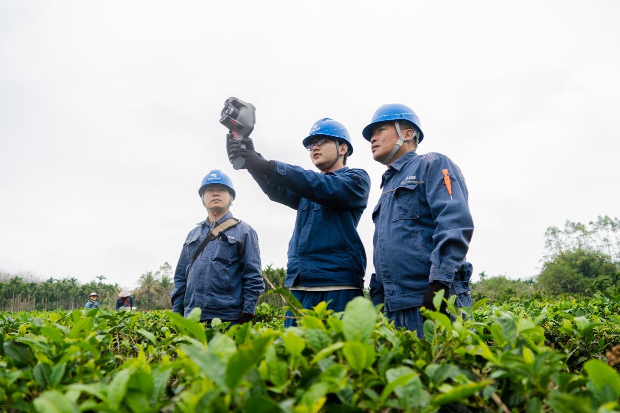 海南电网白沙供电局组织专人对茶厂周围的线路、设备进行特巡特维。余盛本摄
