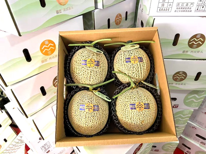 海南果鲜生种植的阿鲁斯静冈网纹瓜即将发往全国各地。受访者供图