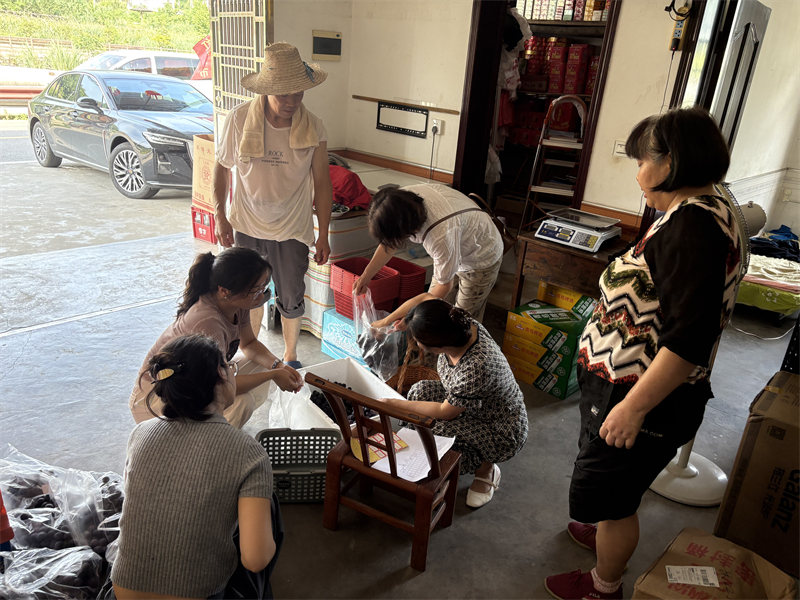 葡萄采摘服务现场