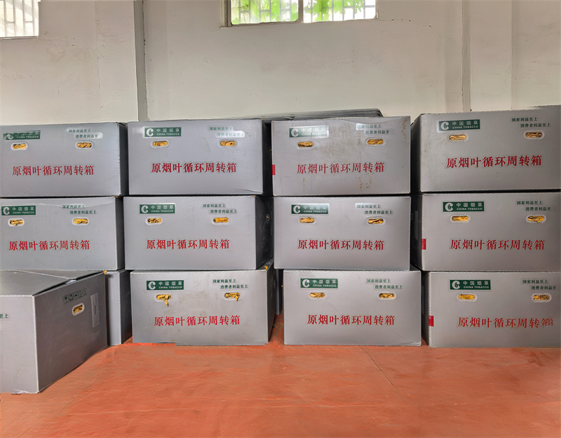 使用循环周转箱进行烟叶打包